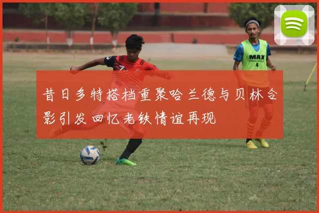 昔日多特搭档重聚哈兰德与贝林合影引发回忆老铁情谊再现